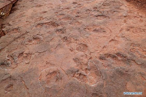 Newly-found dinosaur footprints seen at excavation site in SE China