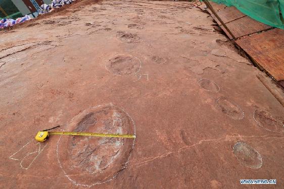 Newly-found dinosaur footprints seen at excavation site in SE China