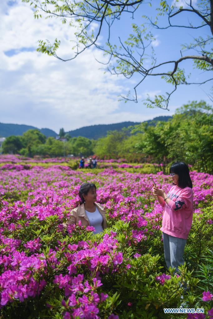 Flowers in full bloom as temperature rises in Changxing, E China