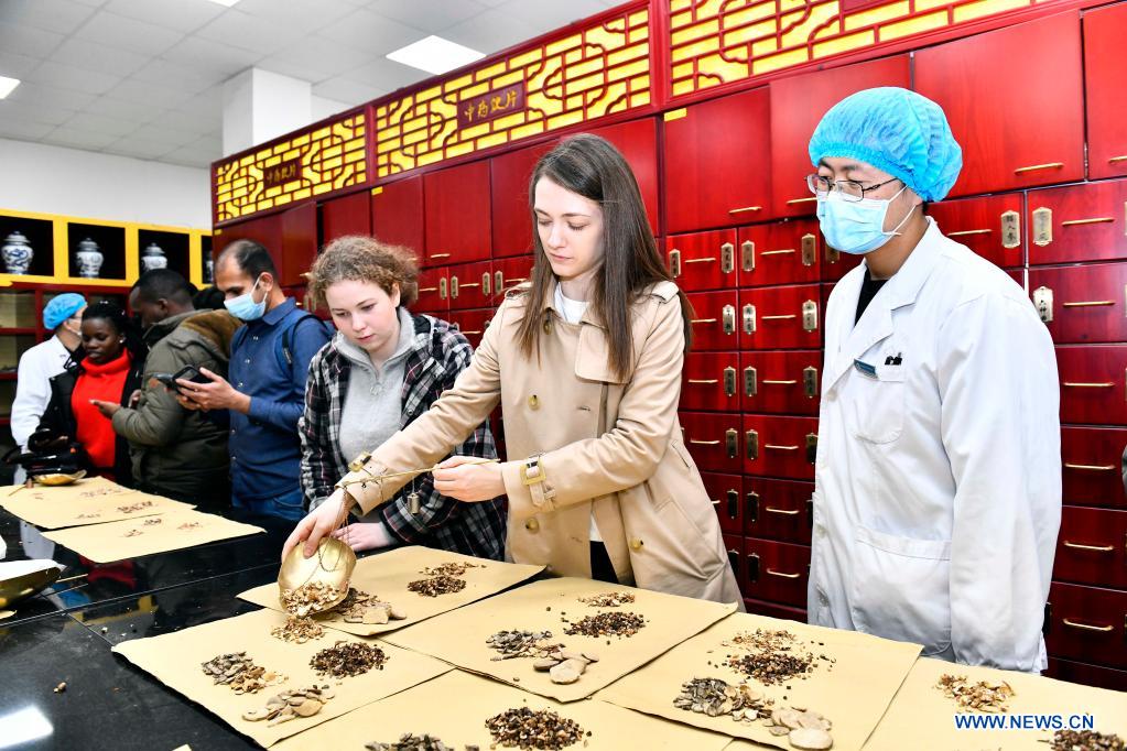 Int'l students experience TCM culture in Shandong