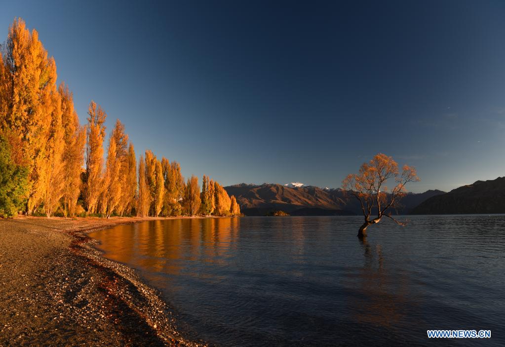 Autumn scenery of Lake Wanaka in New Zealand