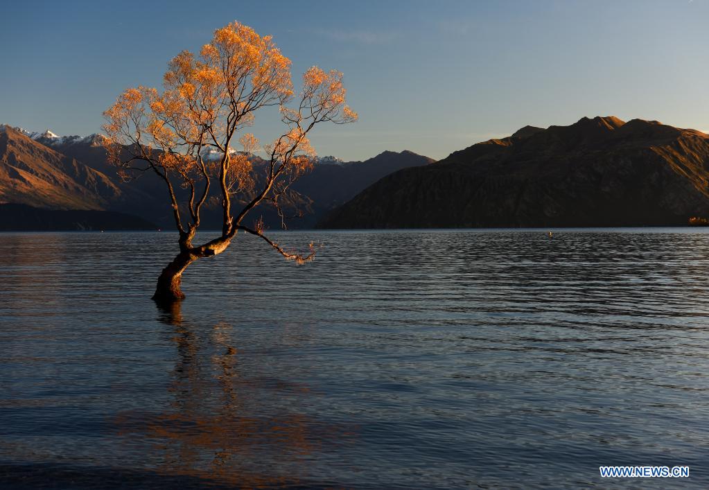 Autumn scenery of Lake Wanaka in New Zealand