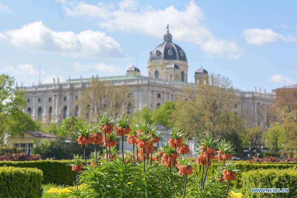 Spring scenery in Vienna, Austria