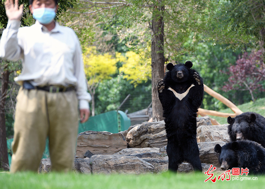 Beijing Wildlife Park - great place to interact with 10 thousand animals
