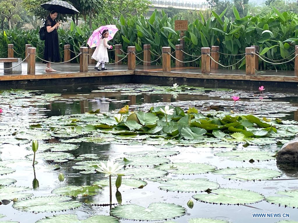 Scenery of Nakao River wetland park in Nanning