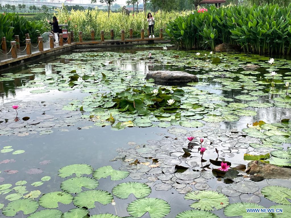Scenery of Nakao River wetland park in Nanning