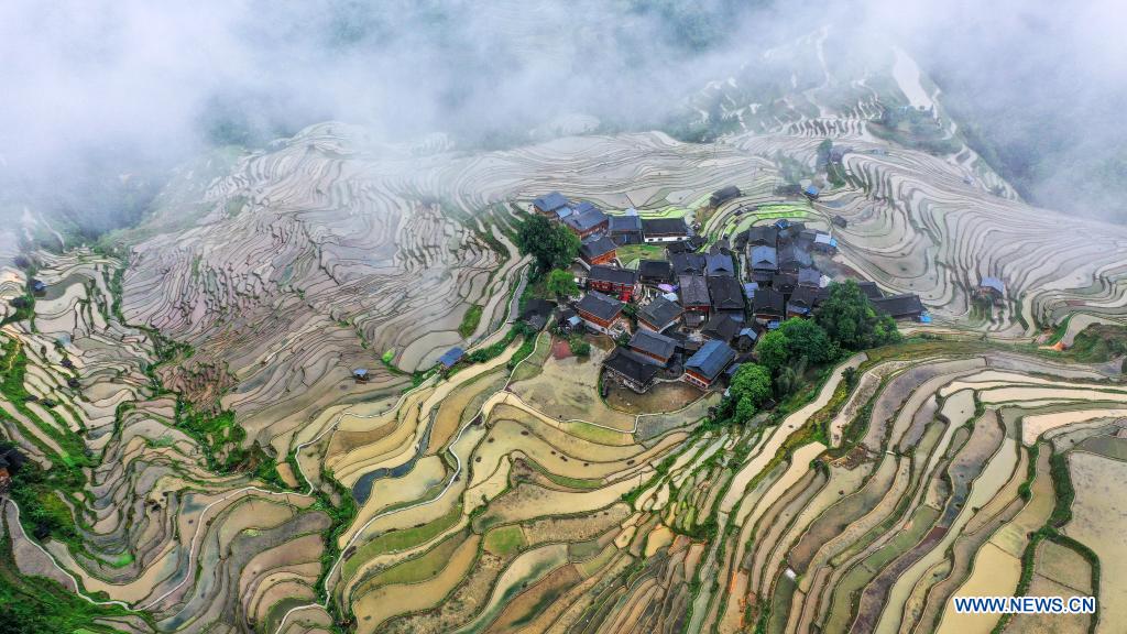 In pics: terraced fields in Congjiang County, SW China