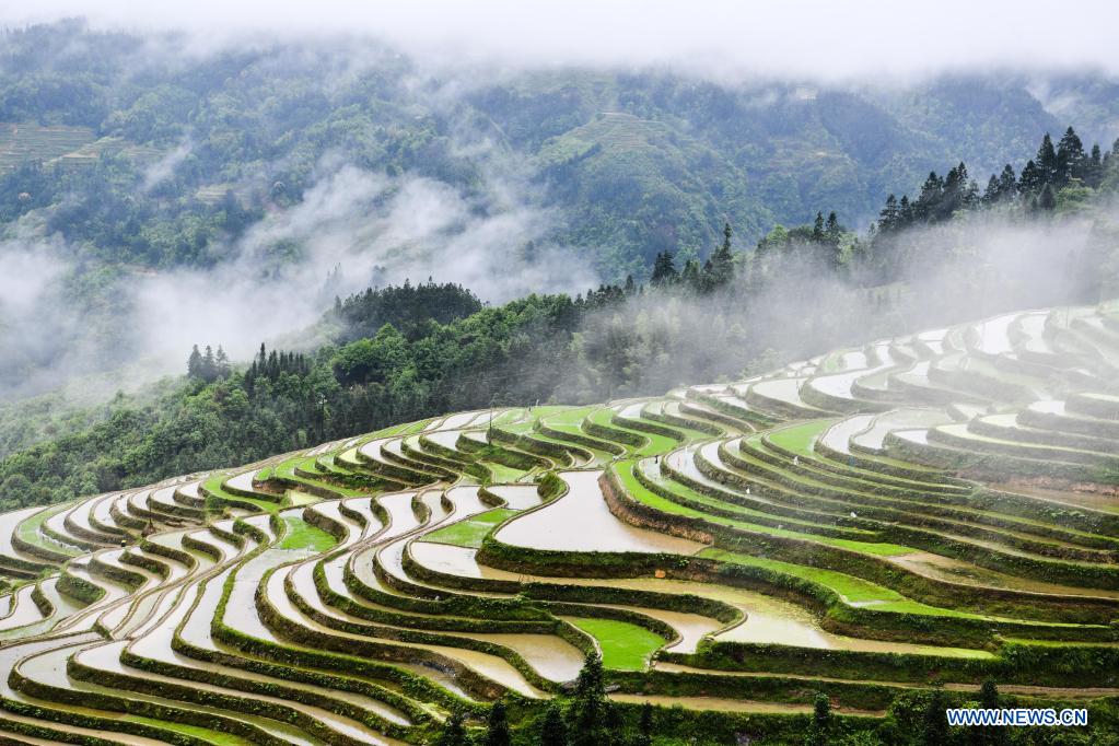 In pics: terraced fields in Congjiang County, SW China
