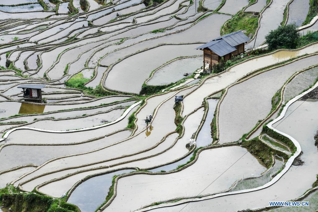 In pics: terraced fields in Congjiang County, SW China