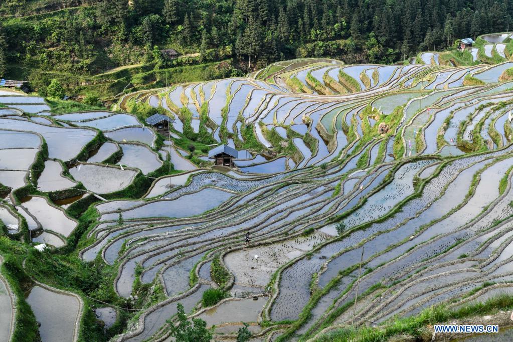 In pics: terraced fields in Congjiang County, SW China