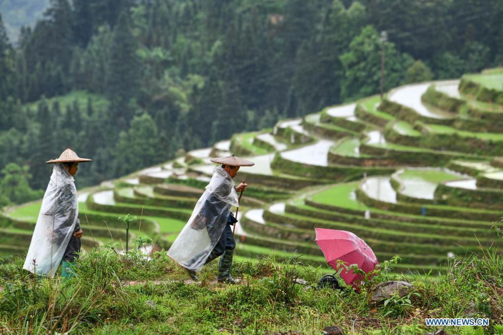 In pics: terraced fields in Guizhou