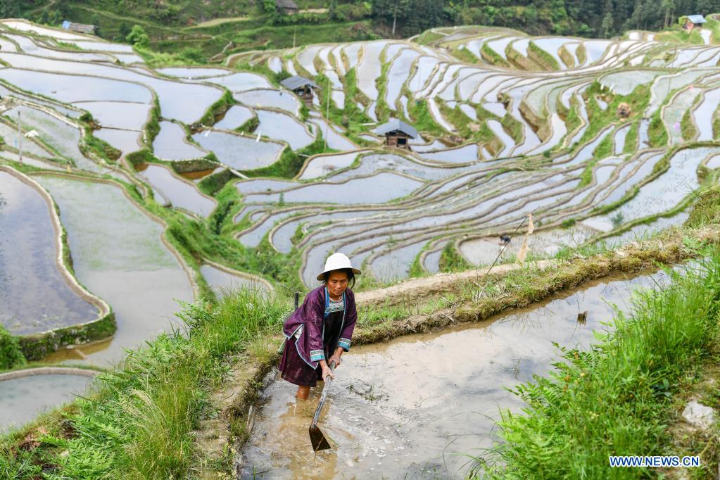 In pics: terraced fields in Guizhou