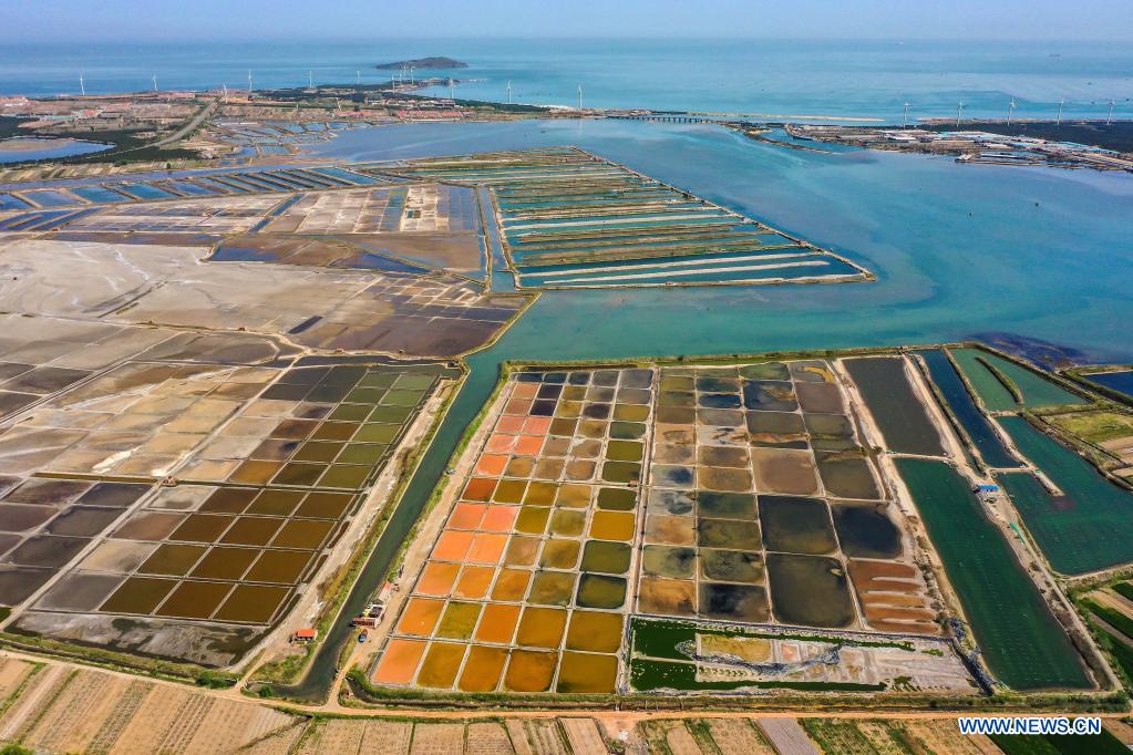 View of salt fields in China's Shandong