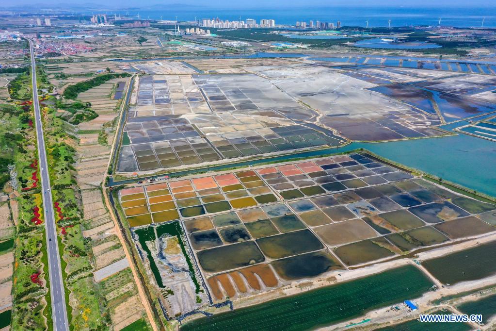 View of salt fields in China's Shandong