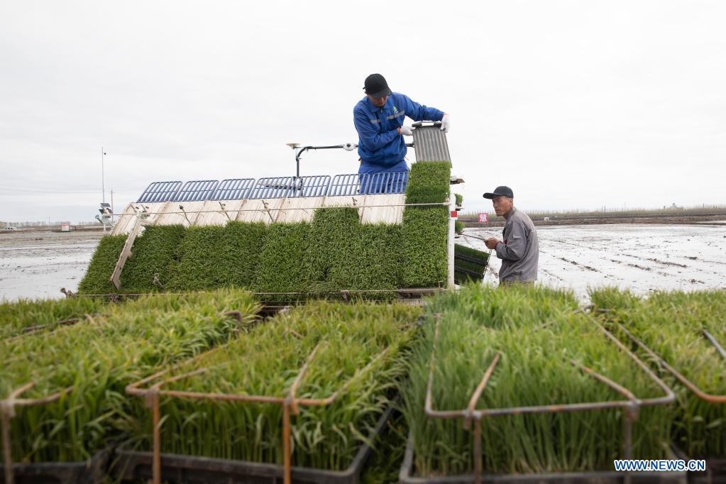 BDS helps to develop smart agriculture in N China