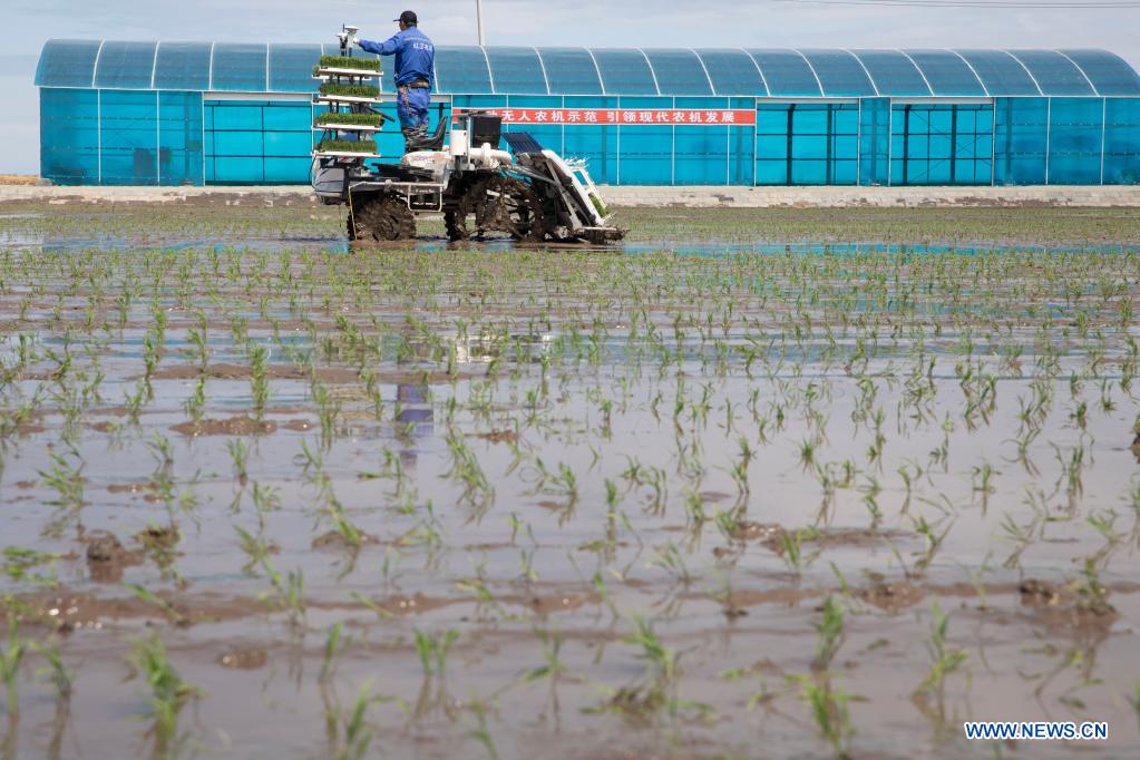 BDS helps to develop smart agriculture in N China