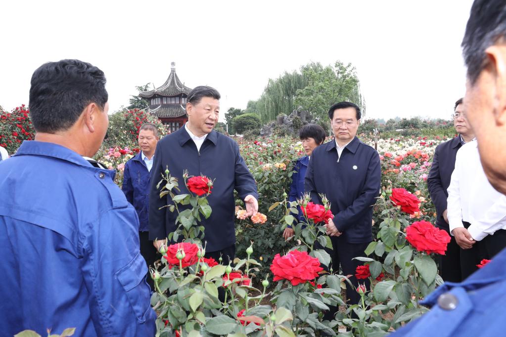 Xi inspects central Chinese city Nanyang
