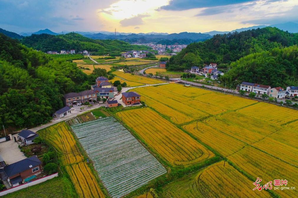 Scenery of beautiful countryside in Hangzhou, E China’s Zhejiang