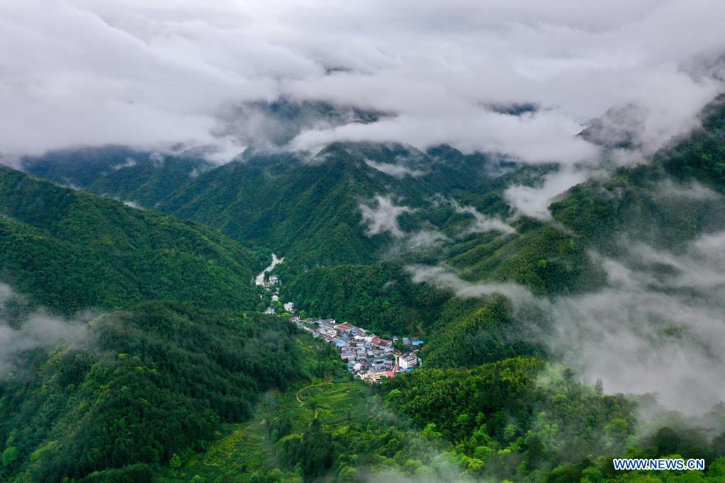 Scenery of Wuyishan National Park in Fujian