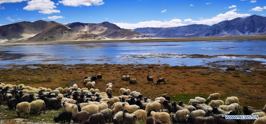 Scenery in Dinggye County, southwest China's Tibet