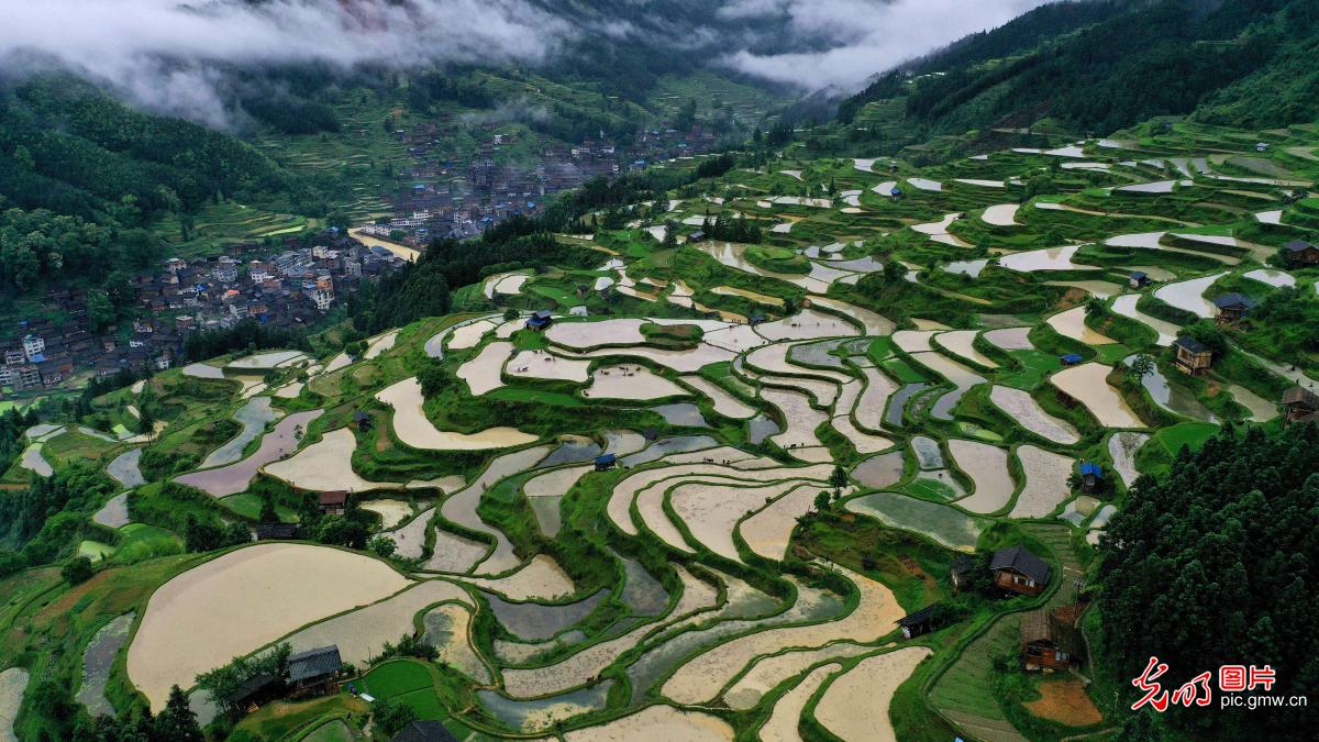 Traditional farming in Yangdong Village, SW China's Guizhou Province