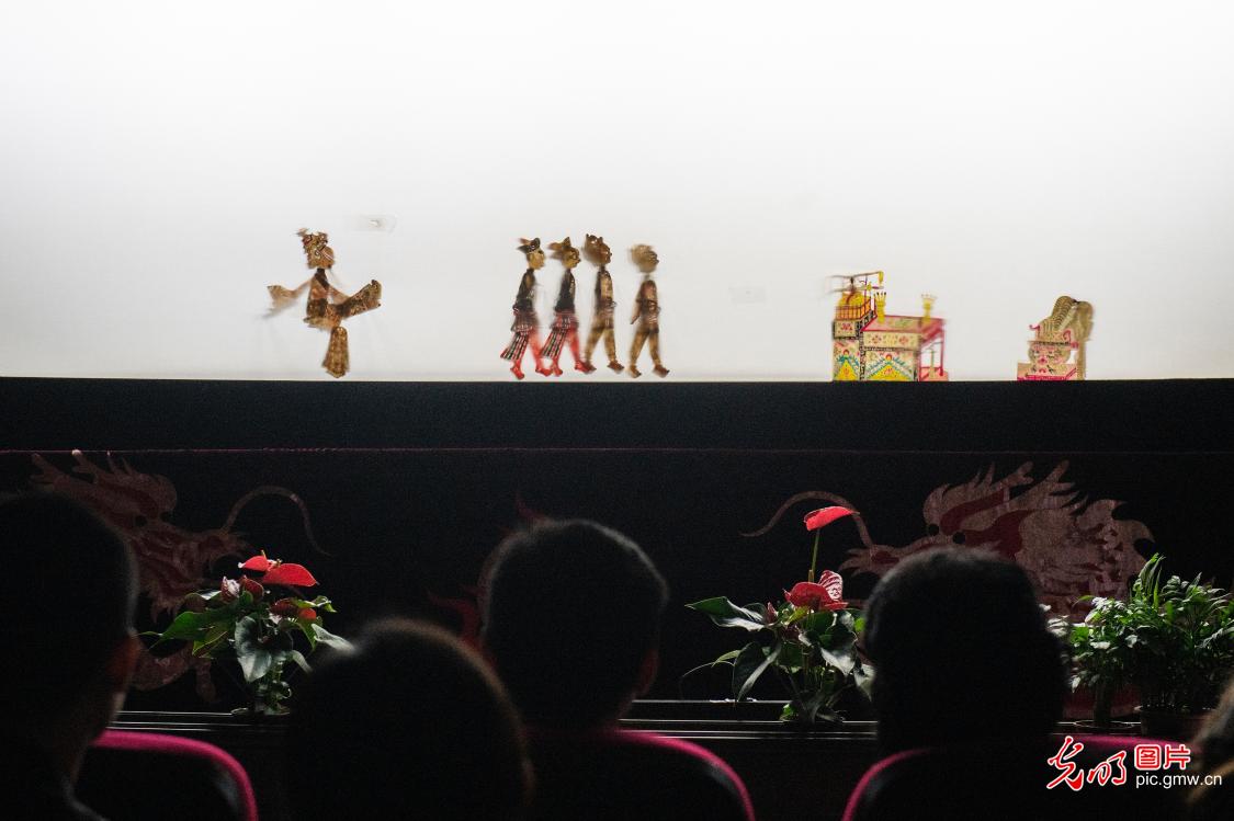 Important Chinese shadow play event held in SW China's Sichuan