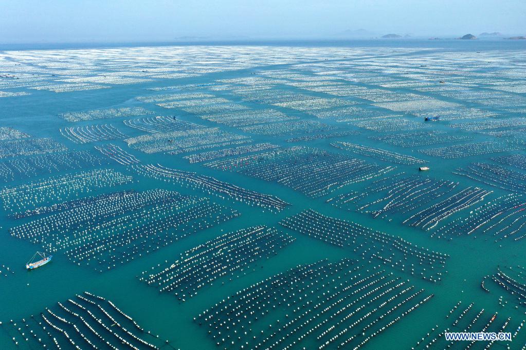 In pics: mussel breeding base in E China's Zhejiang