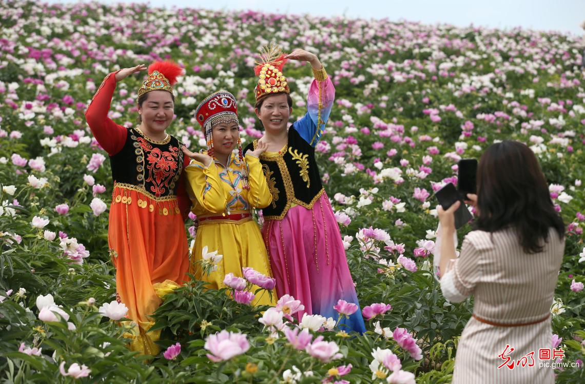 The First Pheony Flower Festival held in NW China's Xinjiang The First Pheony Flower Festival held in NW China's Xinjiang