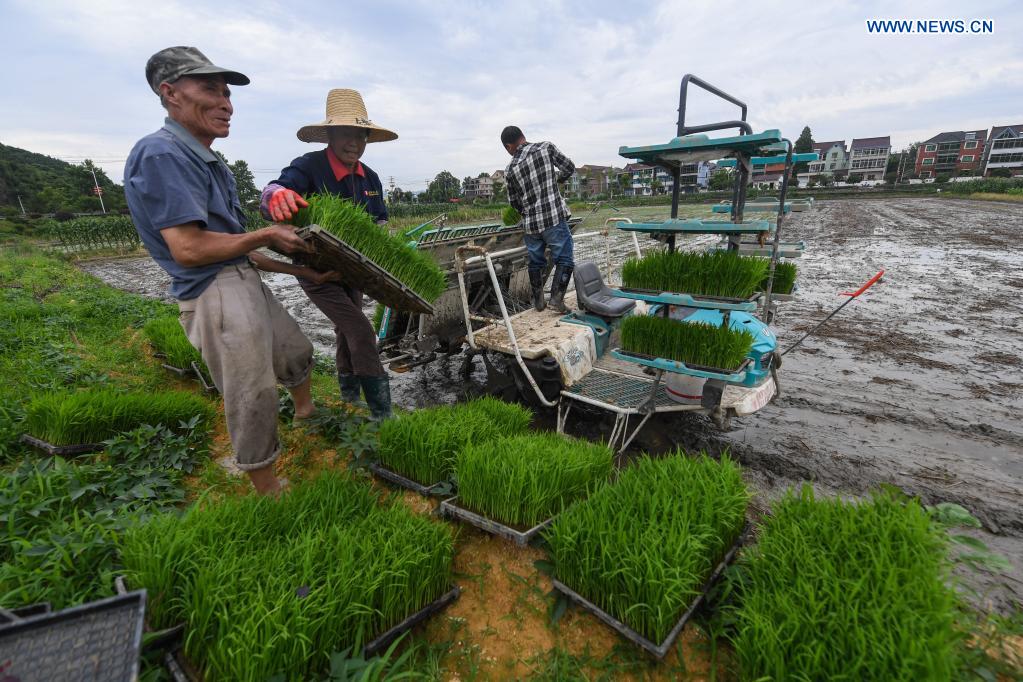 Farmers work in fields in Yushan Township, Hangzhou