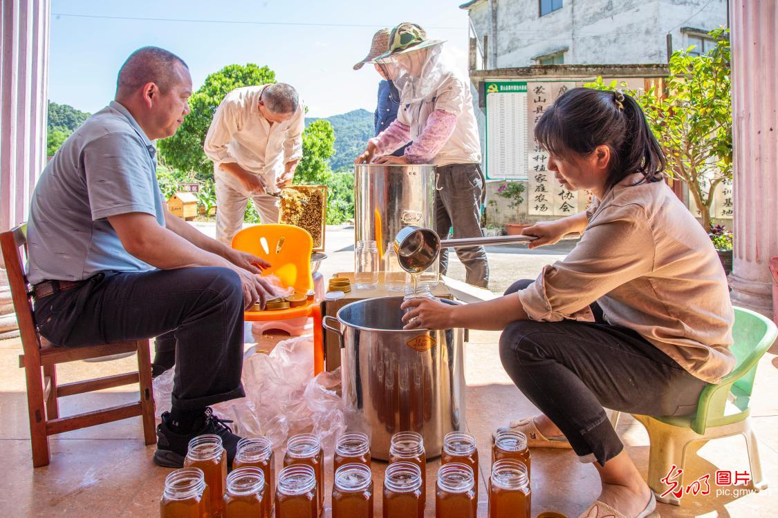 Honey industry sweetens local farmer's life