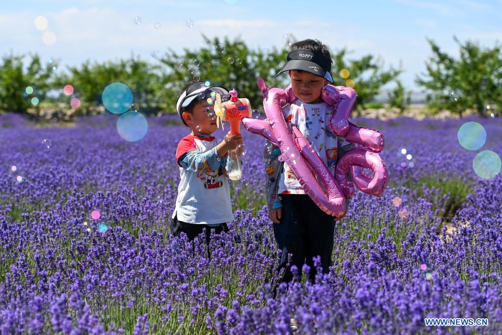 Tourists visit lavender farm in Huocheng County, Xinjiang