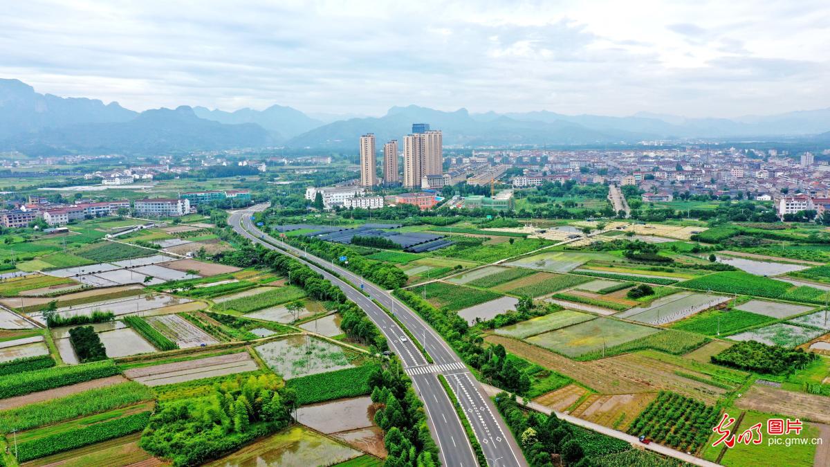 Aerial scenery of highroad passing through field in SE China's Zhejiang