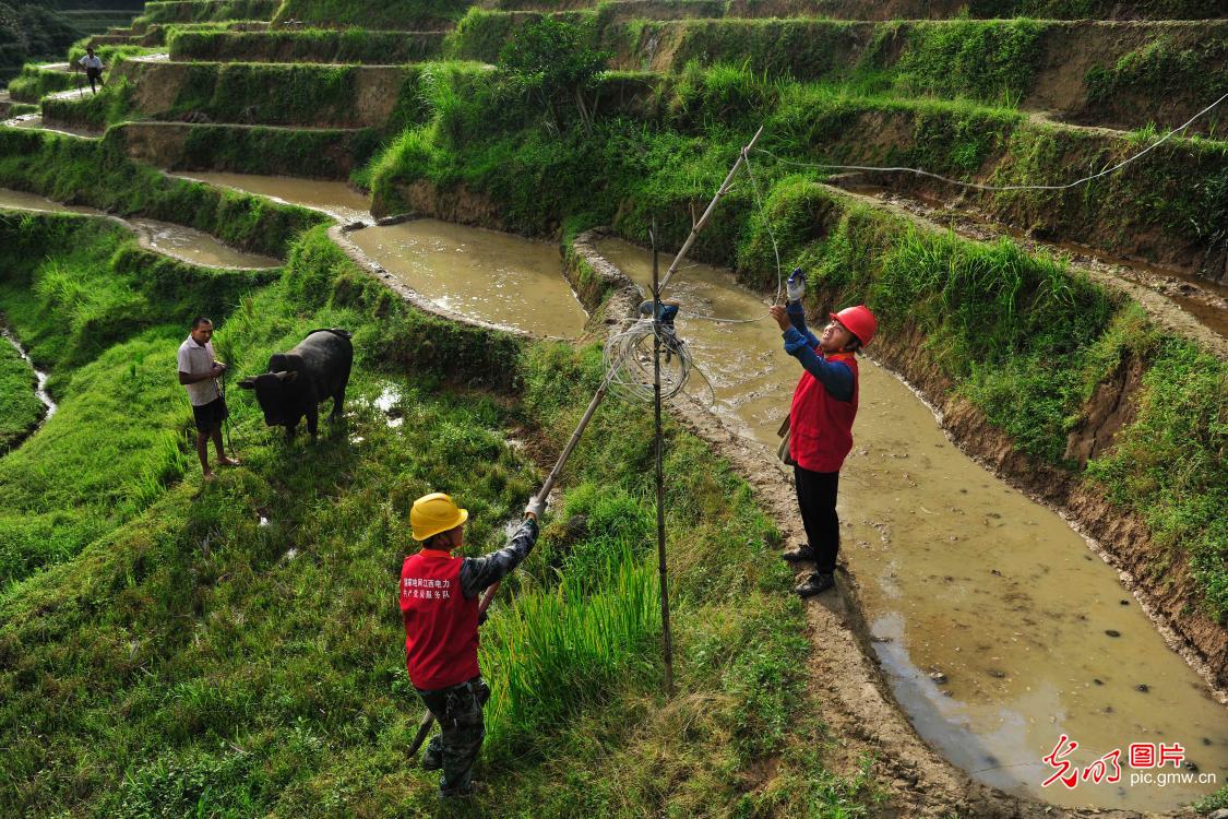 Electricity workers ensure summer electricity supply in Wanzai, E China's Jiangxi