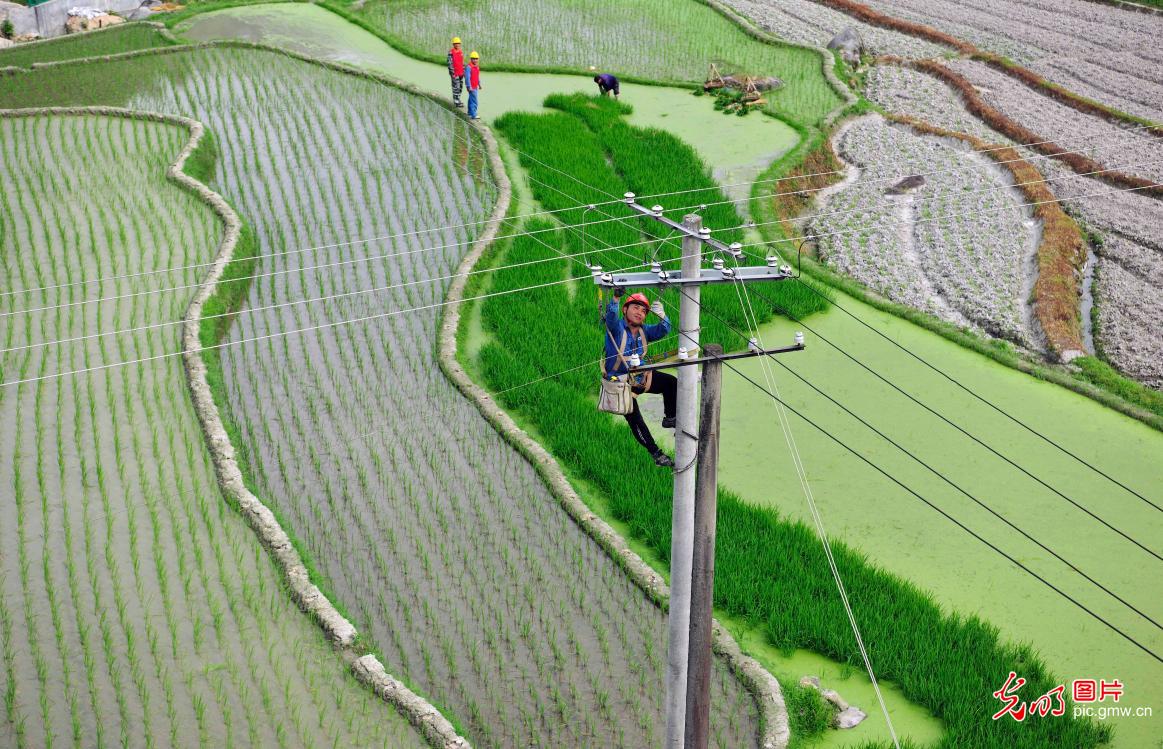 Electricity workers ensure summer electricity supply in Wanzai, E China's Jiangxi