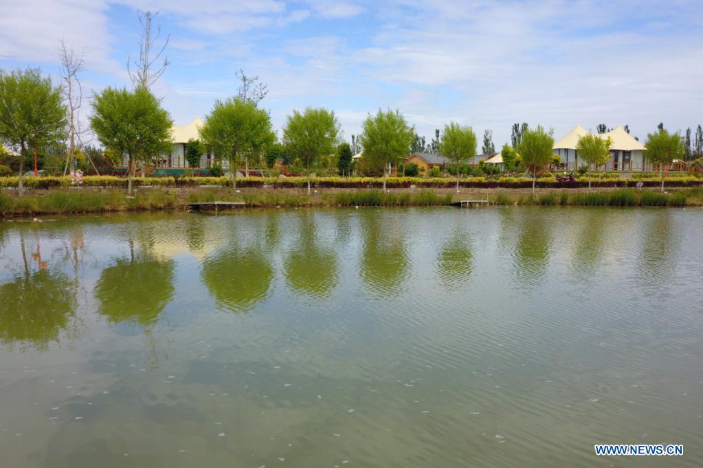 Ecological environment improved in Linze, Gansu