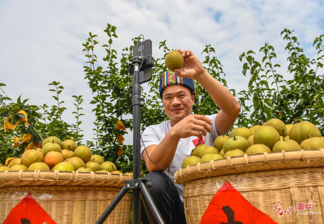 Agricultural products promoted via live-streaming e-commerce in Yongzhou, C China's Hunan
