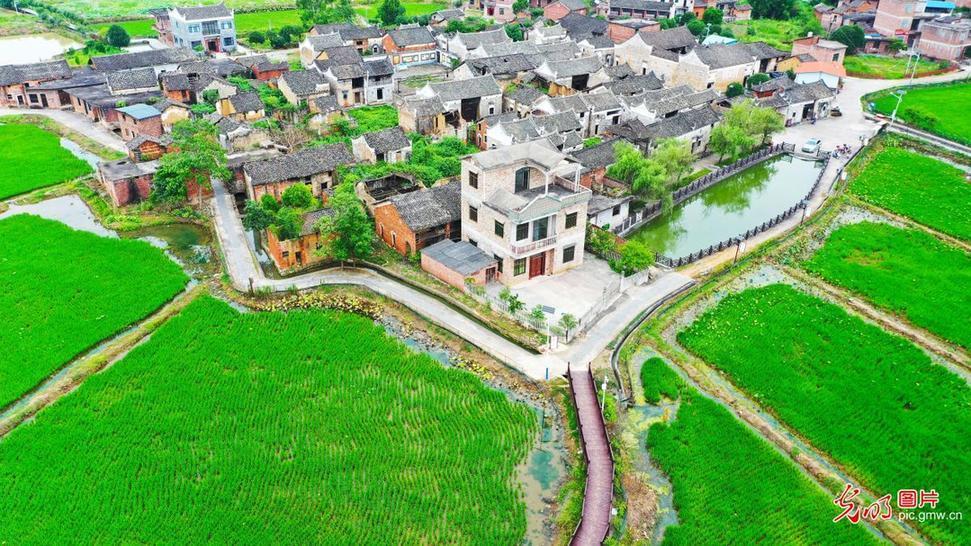 Greenness revitalizes ancient village