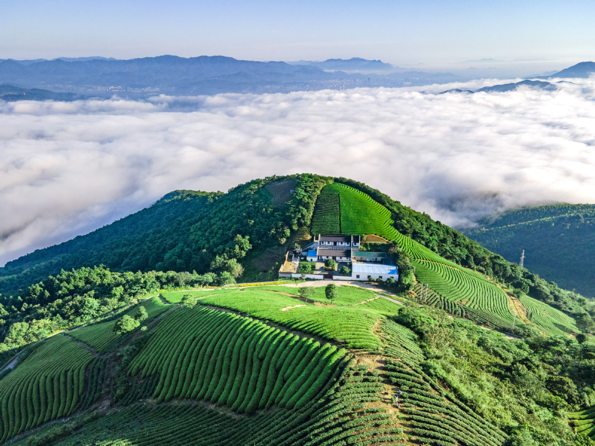 Wangfulou Mountain surrounded by a sea of clouds
