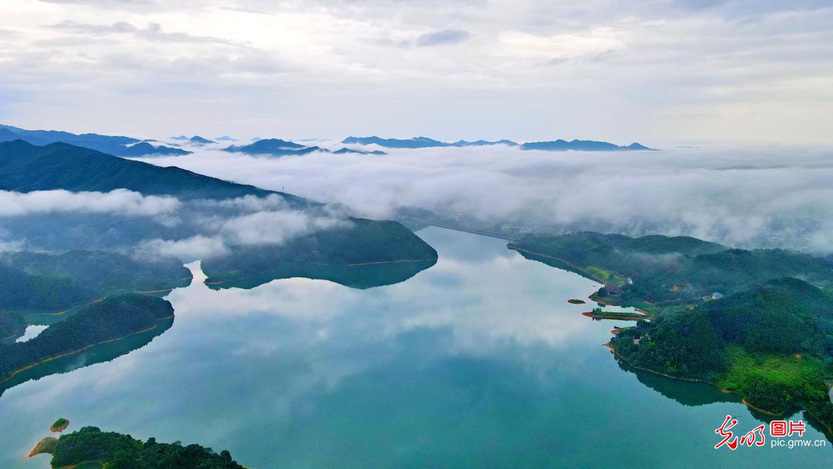 Misty view of the Tianhu National Wetland Park in central China's Hunan