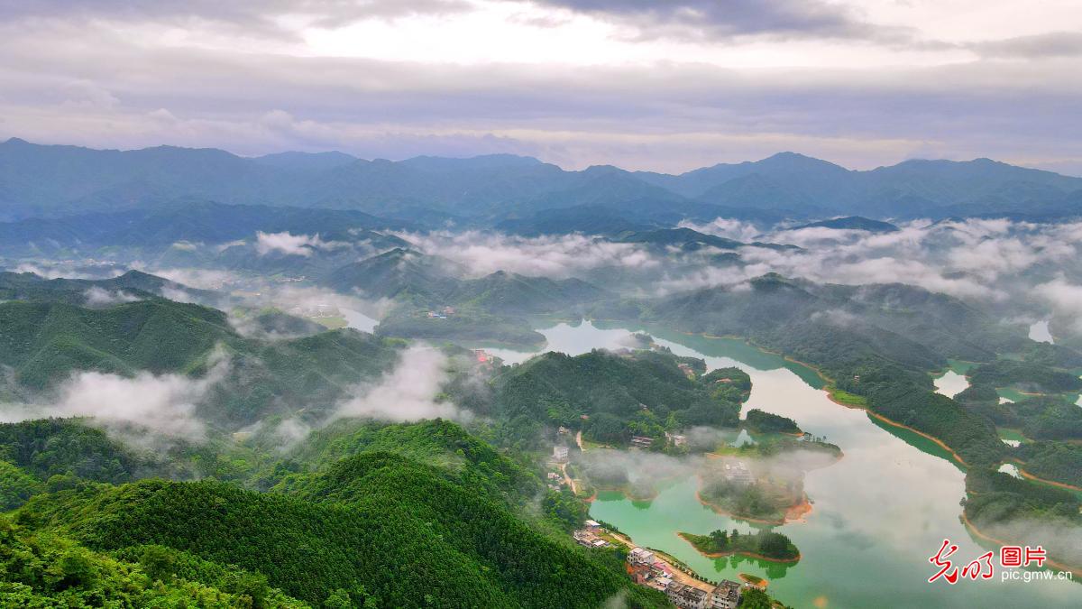 Misty view of the Tianhu National Wetland Park in central China's Hunan