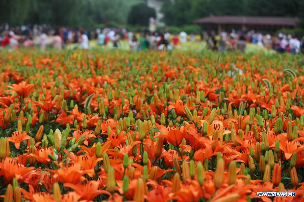 People enjoy themselves at Shenshuiwan Park in Shenyang