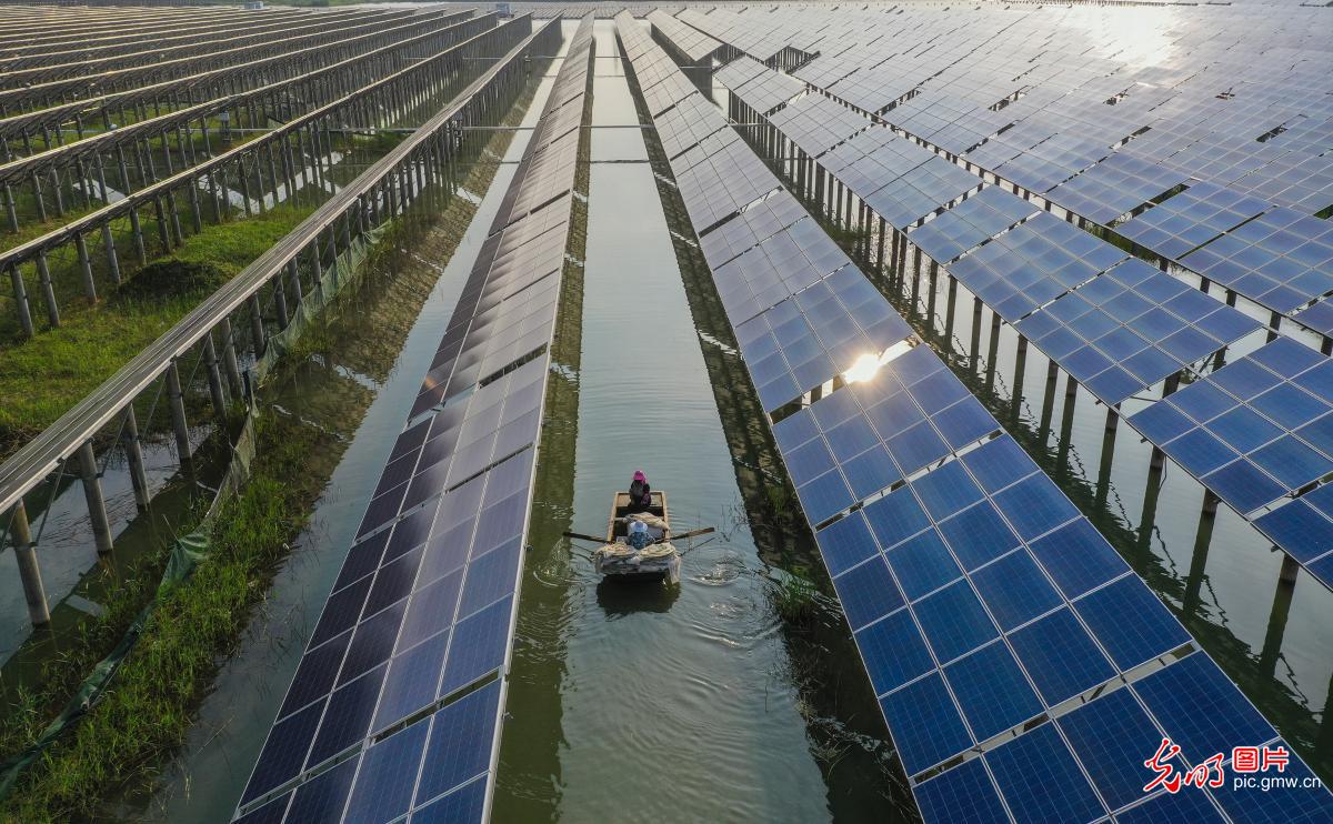 Composite PV power stations seen in E China's Shandong