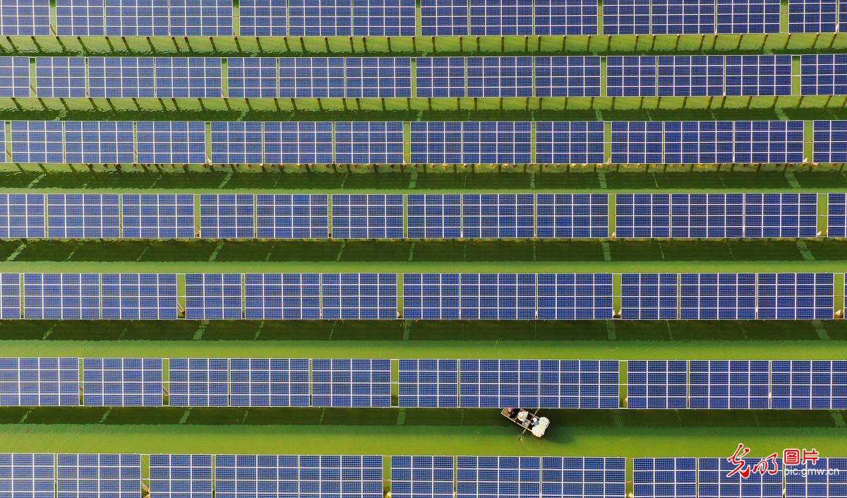 Composite PV power stations seen in E China's Shandong
