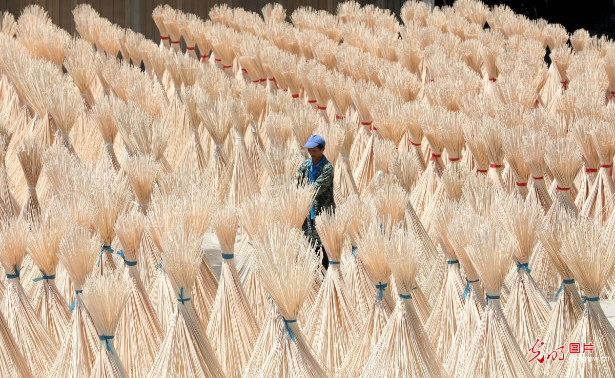 Villagers drying semi-finished bamboos in E China's Jiangxi Province