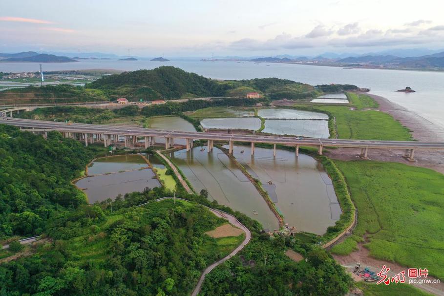 View of Yueqing Bay Bridge in E China's Zhejiang