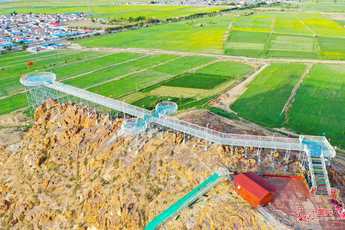 Grassland scenery in NW China's Xinjiang