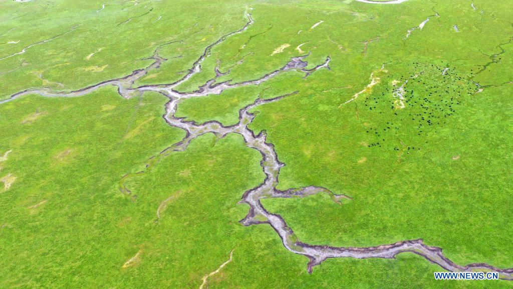 Scenery of Awancang Wetland in Gansu