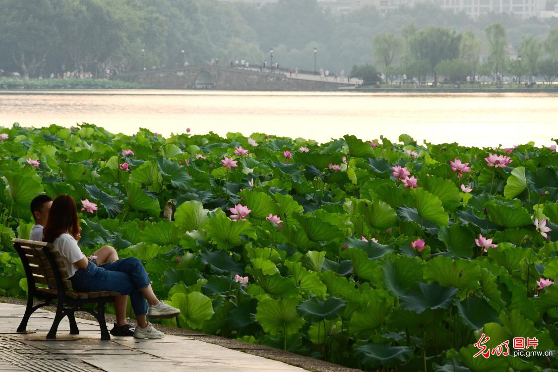 People enjoying lotus by the West Lake in E China's Zhejiang Province