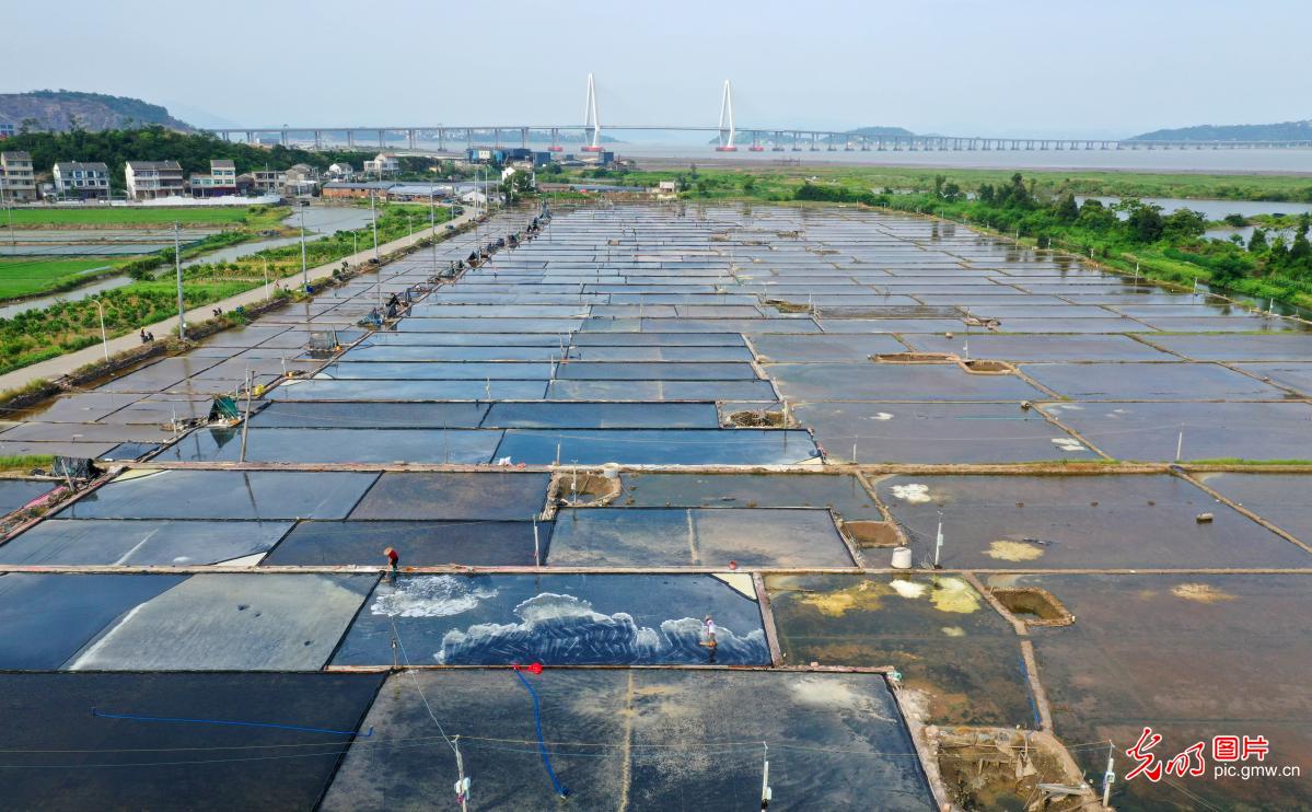 Traditional method of salt drying conducted in E China's Zhejiang Province