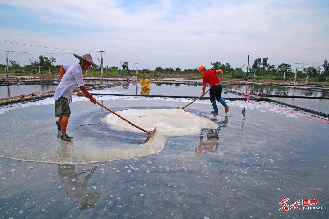 Traditional method of salt drying conducted in E China's Zhejiang Province